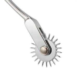 Roda de Pinos de Aço Inoxidável