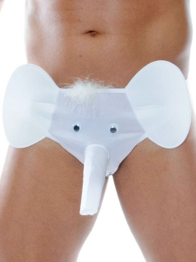 Cueca de Elefante Sapeka